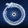 Фото профиля Cardano to 35$