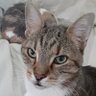 Profilbild von chat4chat