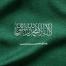 🇸🇦 的头像