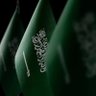 Profilbild von ﮼علي 🇸🇦