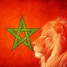 Фото профиля Morocco HODL