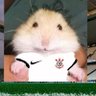 Vini ama muito o corinthians e seria triste sem 的头像