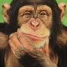 . profil fotoğrafı