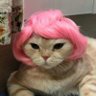 Gatilda 的头像