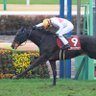 Фото профиля なお競馬(牡)
