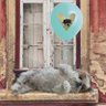 Le Papillon Bleu's profile picture