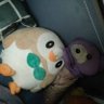 木木枭农场主's profile picture
