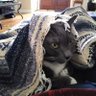 Kat B. profil fotoğrafı
