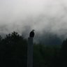 GhostEagle profil fotoğrafı