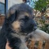 Ivnx profil fotoğrafı