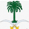 عبدالعزيز 的头像