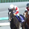 Profilbild von Tomy@競馬ブロガー
