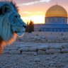 Фото профиля lion of zion 🇮🇱✡️
