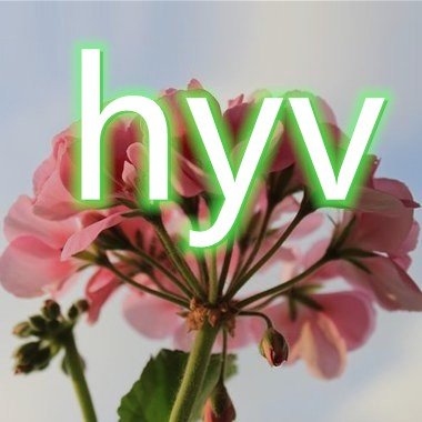 is ince1,pay hyv=support ince1's profile picture