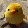 Profilbild von Shitney Sweeney