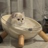 迷鹿(›´ω`‹ ) 的头像