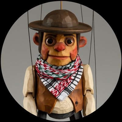 anarequisan's profile picture