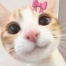 ddeonit🍒 的头像