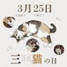 みけにち🐱ねこふぁみ 的头像