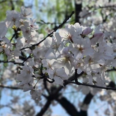 ZhouTong_1026's profile picture