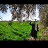 تخاريف فلاح 的头像
