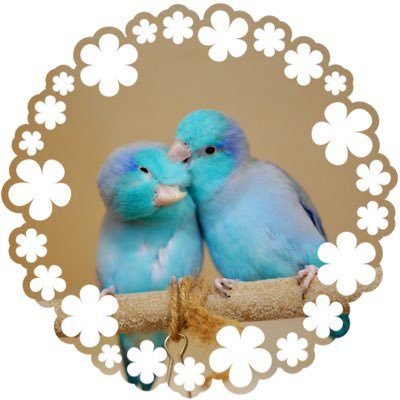 そらまめのふたりごと's profile picture