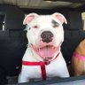 Stella-LVNV's profile picture