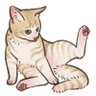 Pの者 的头像
