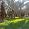 Фото профиля أبو تركي