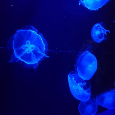 kt_666's profile picture