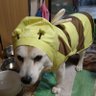 ノリ 的头像