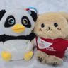 มัมหมี🐼มัมหมา🐶 的头像