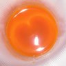 haro's profile picture
