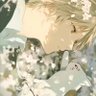 夏目帐中妖's profile picture