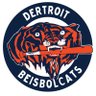 Chronically Depressed Sports Fan's profile picture