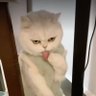 Courage 的头像