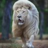 HamburgerOne profil fotoğrafı