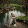 Фото профиля образцовыйпатриот