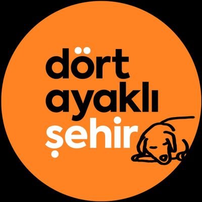 dört ayaklı şehir's profile picture
