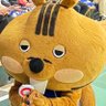 まい's profile picture