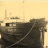 Captain Falke profil fotoğrafı