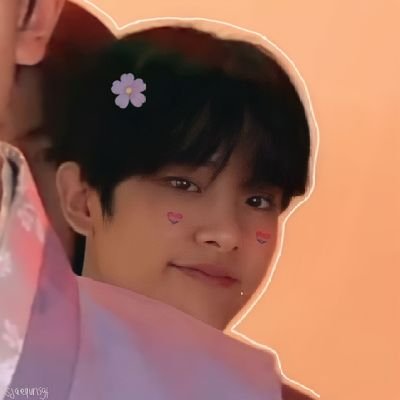 🦋 ; alynn saw enha ❤️‍🩹's profile picture