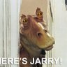 Profilbild von Jar Jack Binks