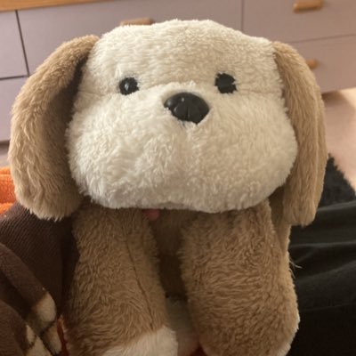 puppy_chewtoy's profile picture