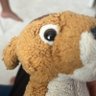 Mayakan profil fotoğrafı