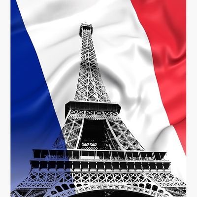 Lilylapatriote's profile picture