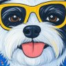 MARC's profile picture