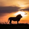 Richard Vincent🦋 profil fotoğrafı