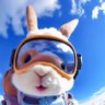 铭泽💎 profil fotoğrafı