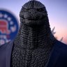 Profilbild von GOPzilla